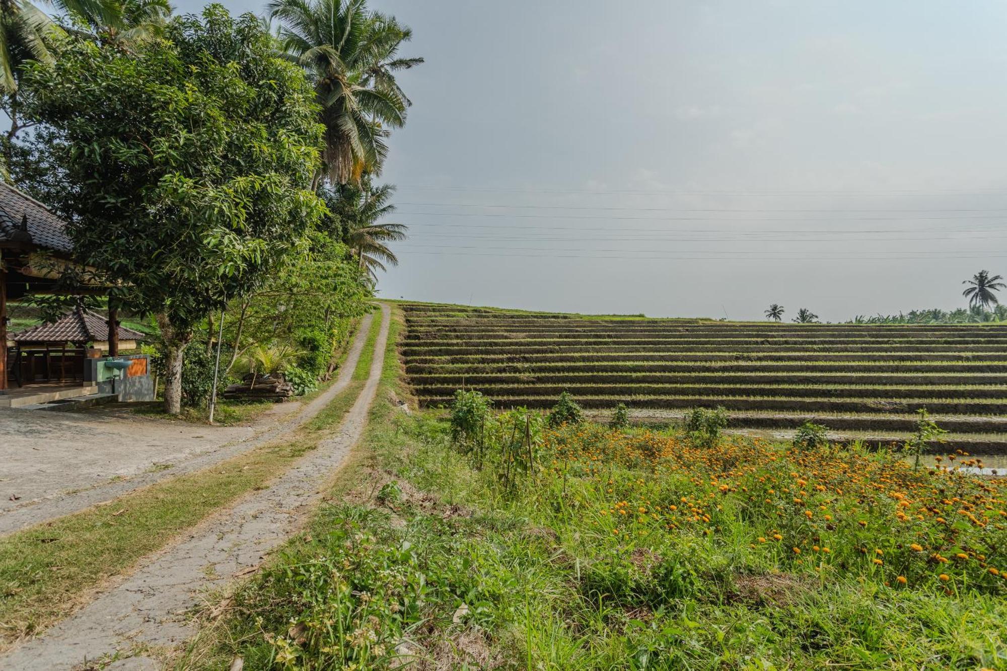 Pondok Hari Baik Balian Luaran gambar