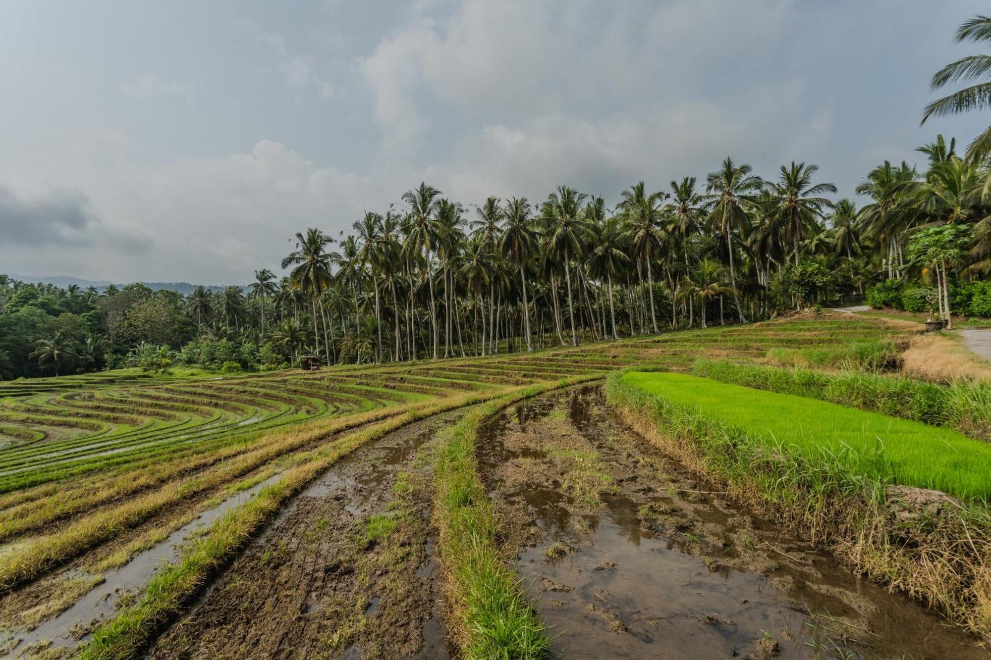 Pondok Hari Baik Balian Luaran gambar
